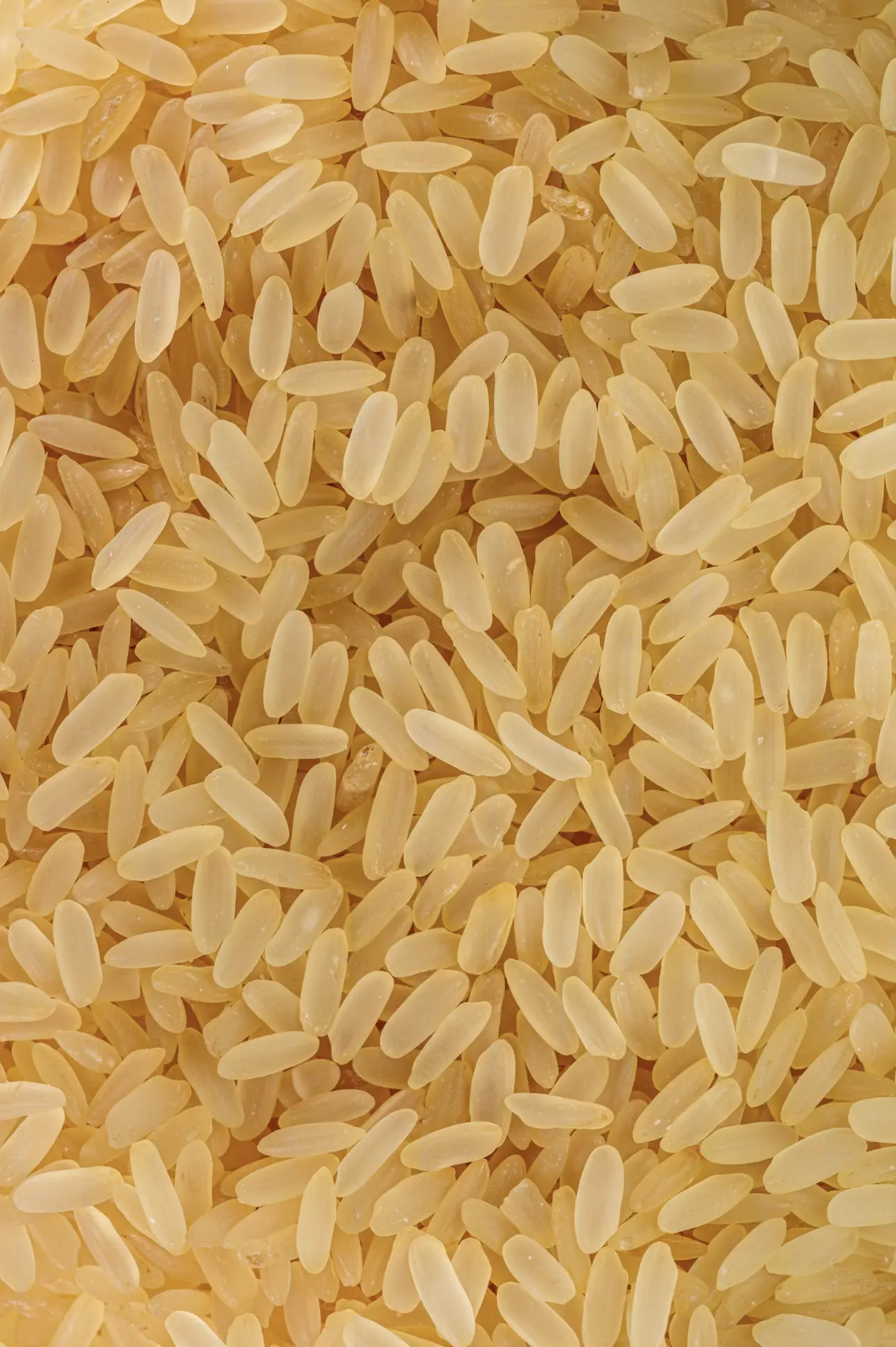 White Rice